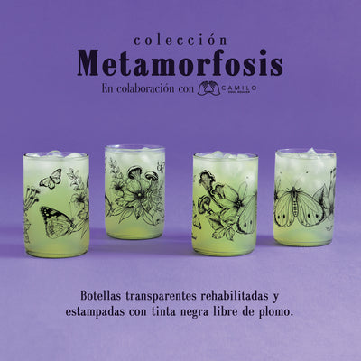 Colección Metamorfosis x4