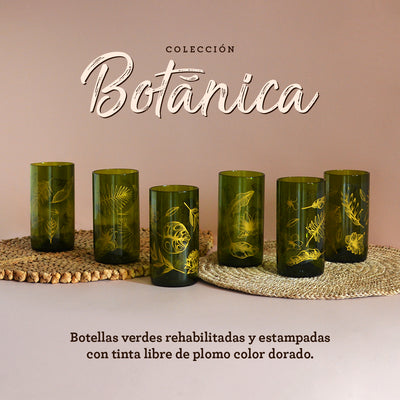 Colección Botánica x6