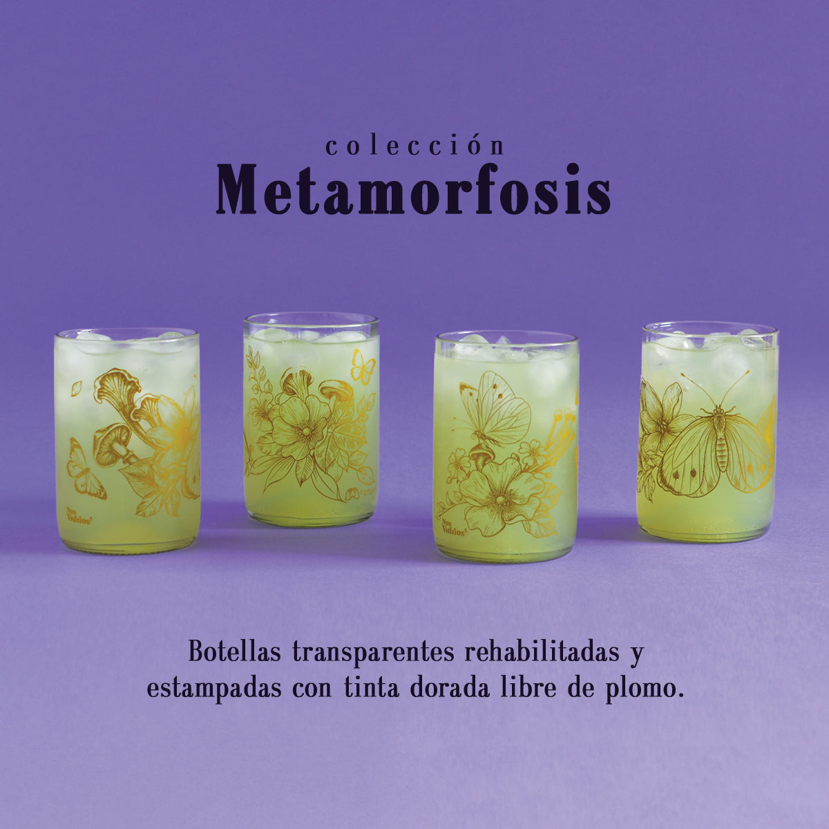Colección Metamorfosis x4