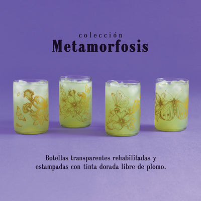 Colección Metamorfosis x4
