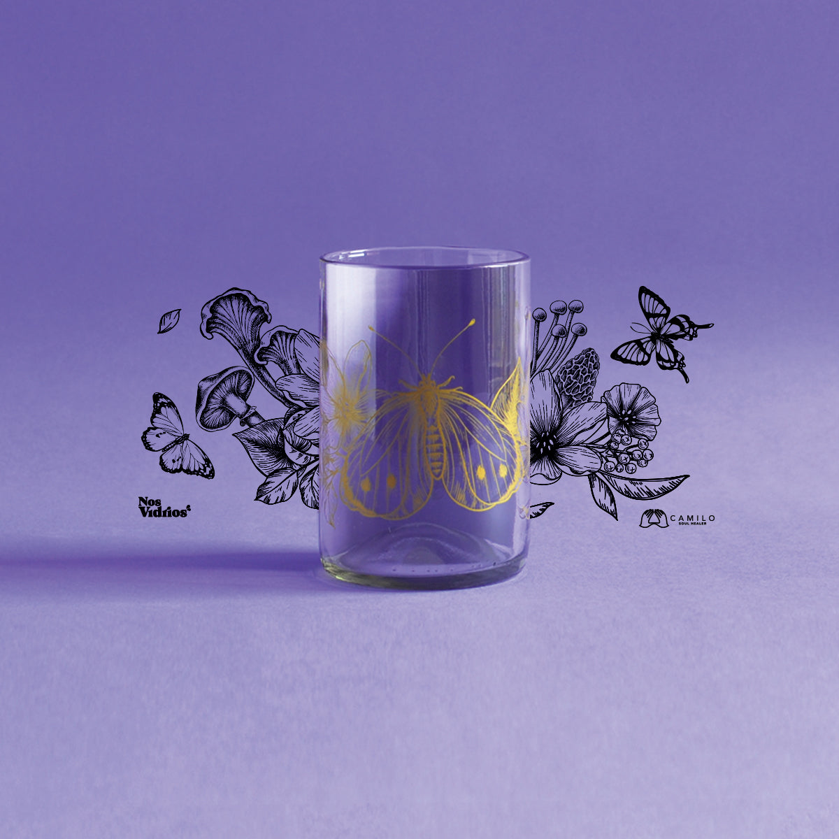 Colección Metamorfosis x4