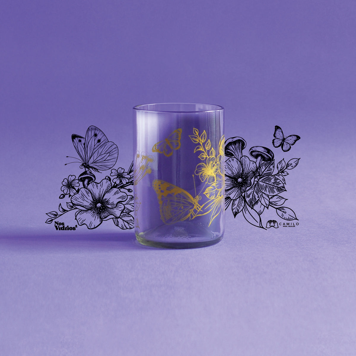 Colección Metamorfosis x4