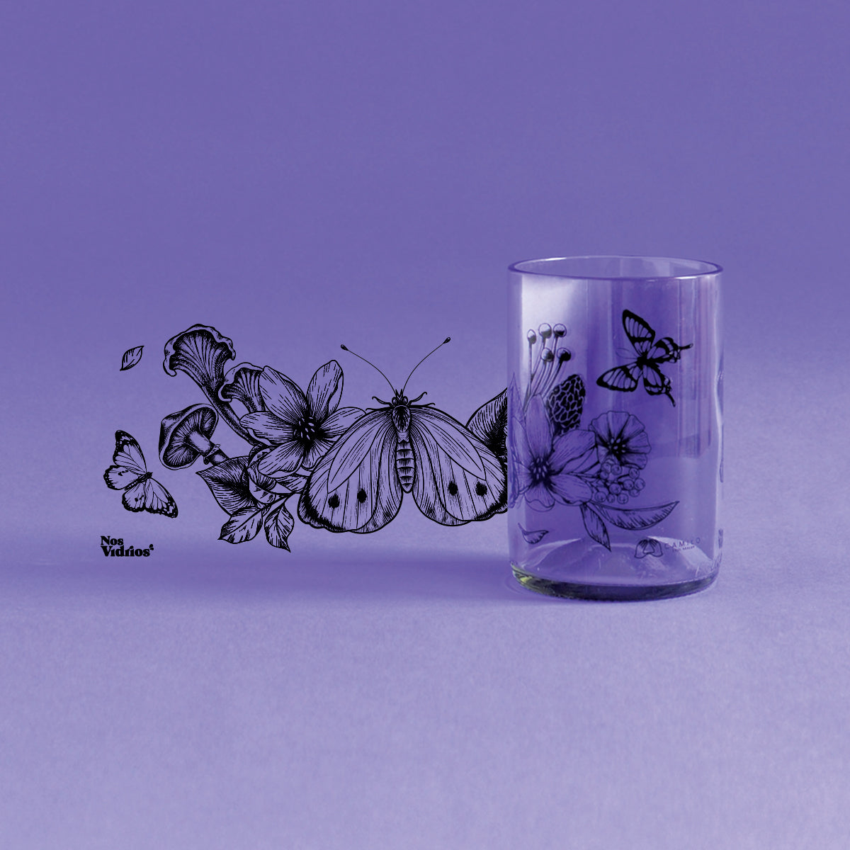 Colección Metamorfosis x4