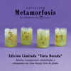 Colección Metamorfosis x4