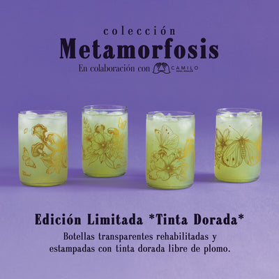 Colección Metamorfosis x4