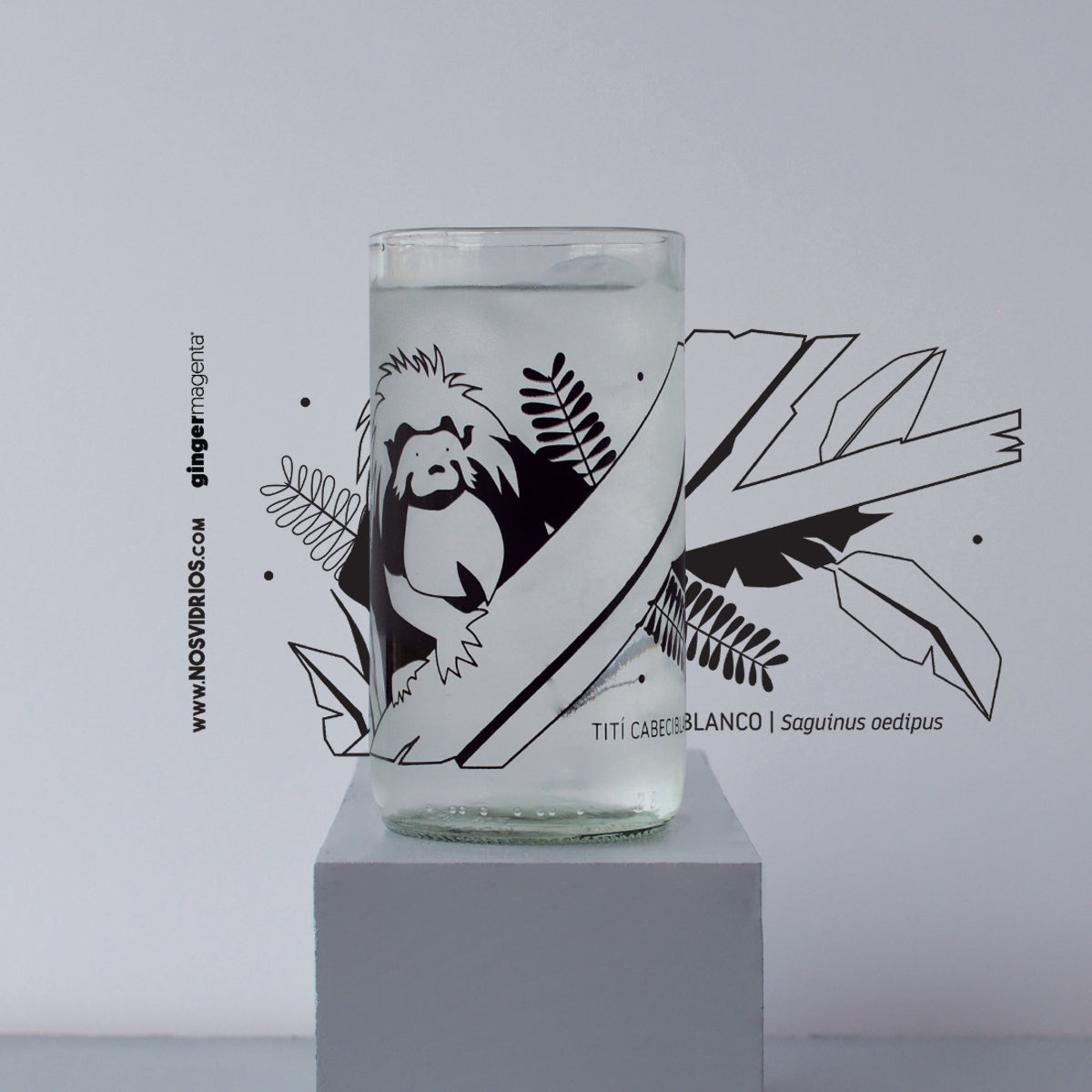 Colección S.O.S Animales x6