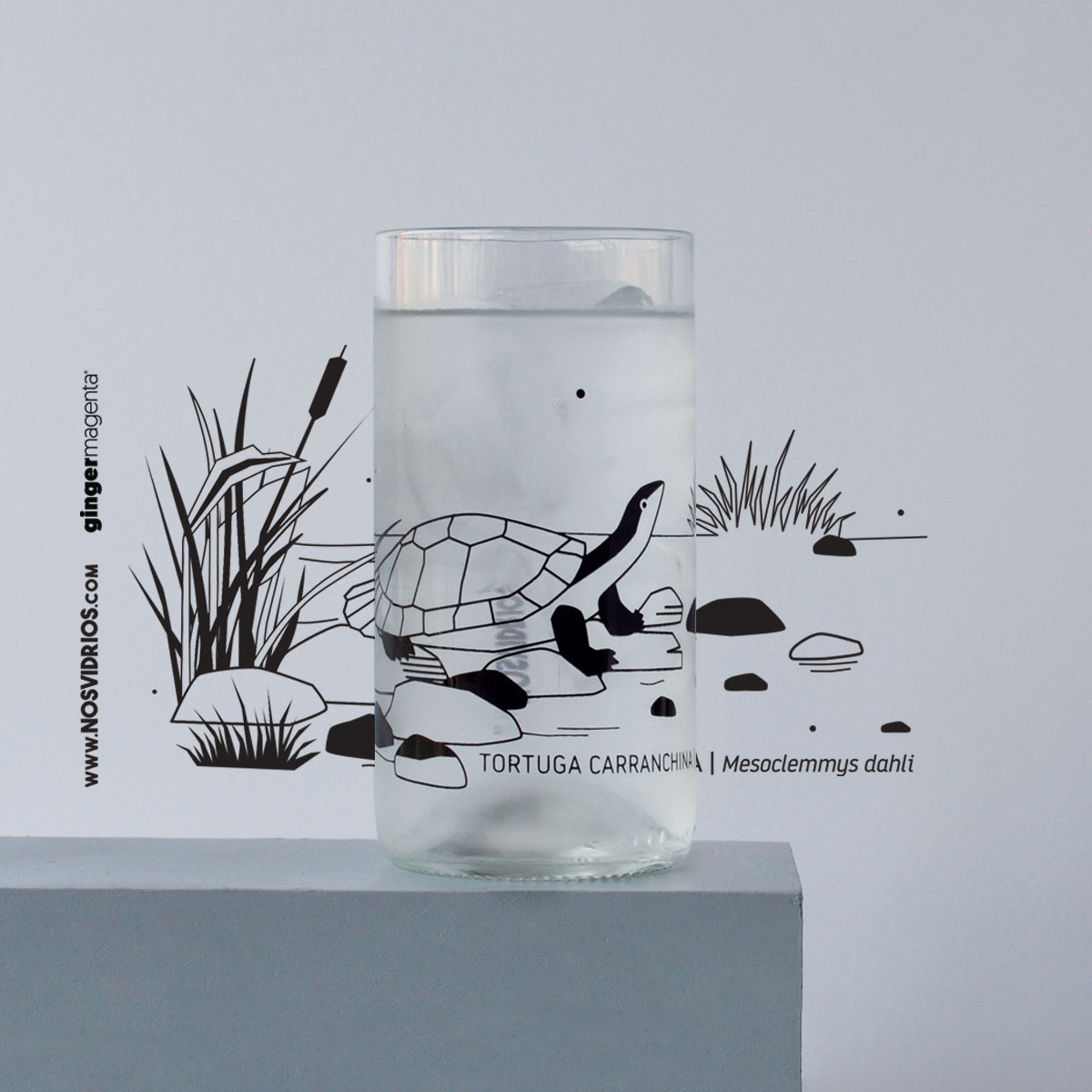 Colección S.O.S Animales x6