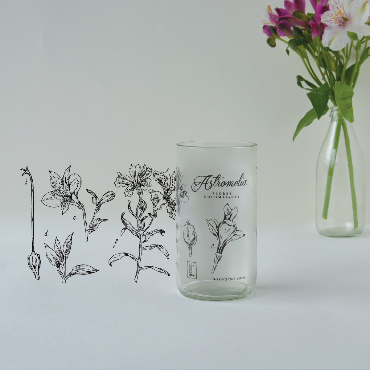 Colección Flores de Colombia X6