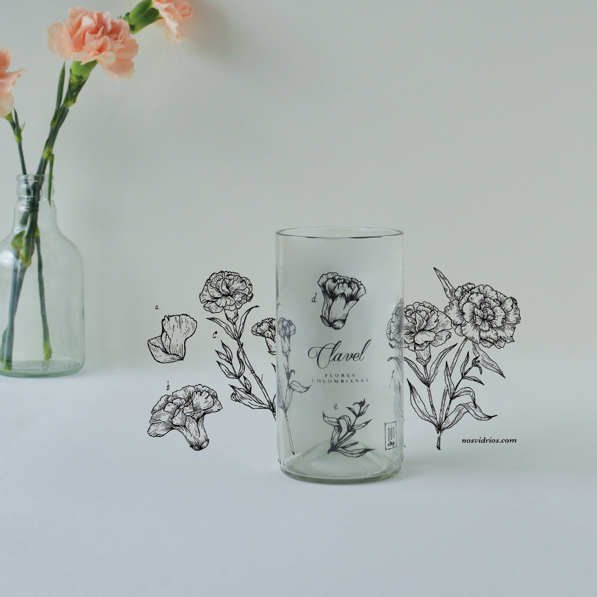 Colección Flores de Colombia X6