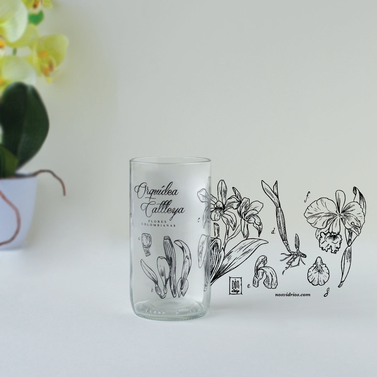 Colección Flores de Colombia X6