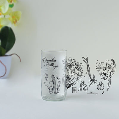 Colección Flores de Colombia X6